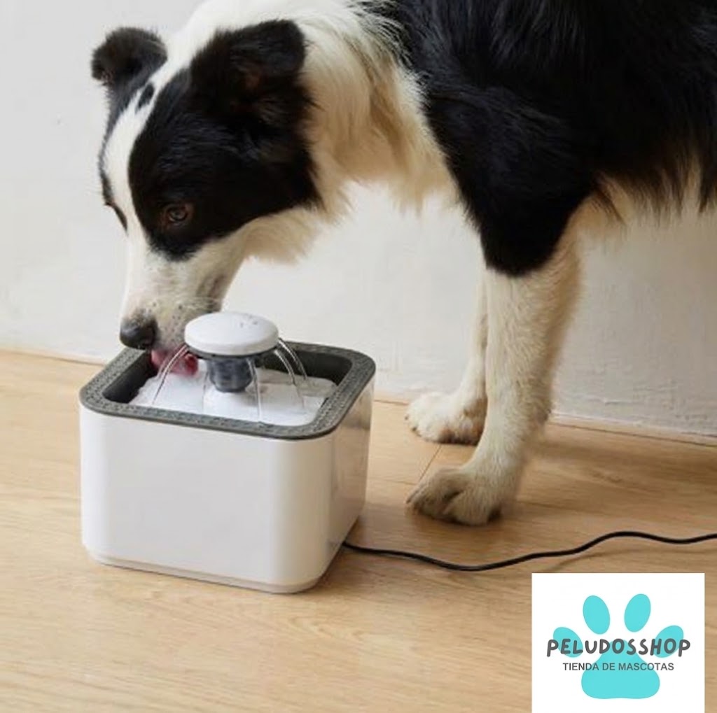 FUENTE DE AGUA PARA GATOS Y PERROS DE 2 Lts