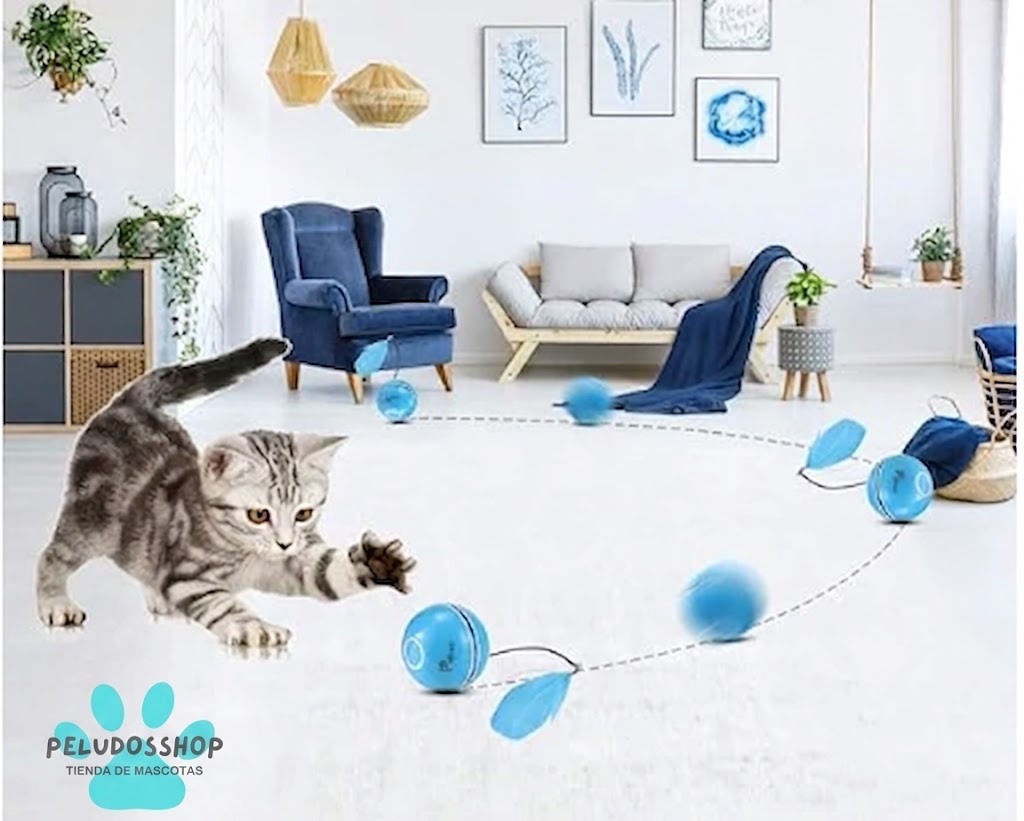 PIDSEN JUGUETE PARA GATO
